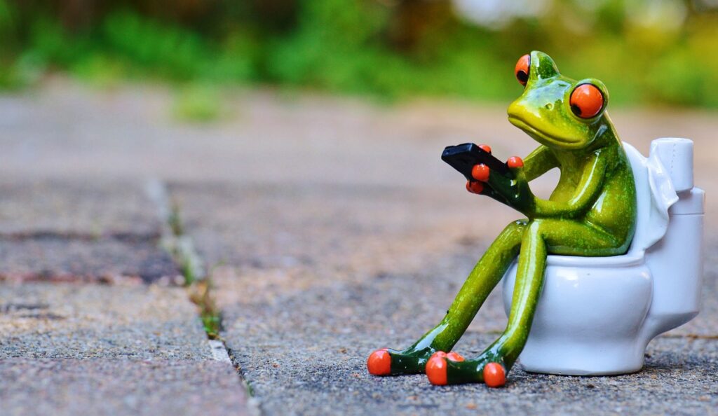 frog, mobile, toilet, loo, wc, fun, meeting, cute, toilet, toilet, toilet, toilet, toilet-914131.jpg