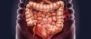 colon, anatomy, medical, sistema digestivo, intestino delgado, ai generated, colon, colon, colon, colon, colon, medical-8804708.jpg